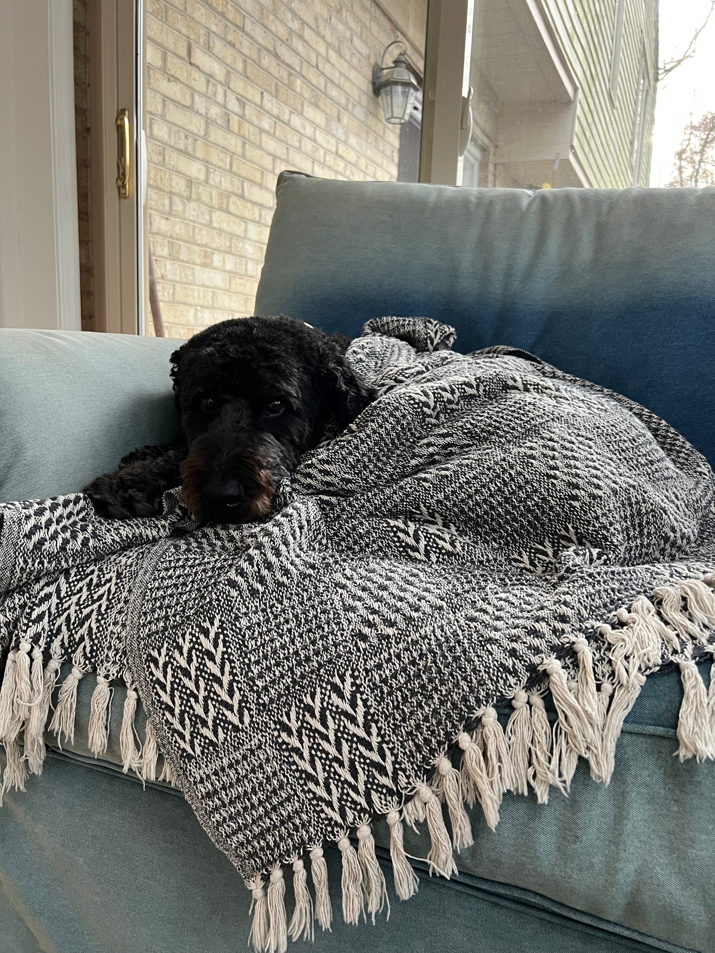 Comfy Cozy Cotton Blankets