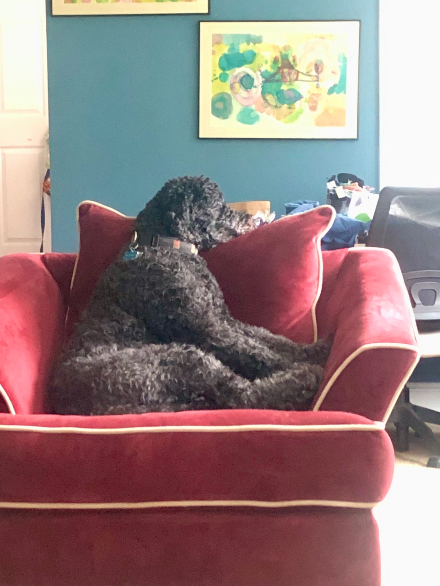 Cozy Velvety Bordeaux Oversized Armchairs