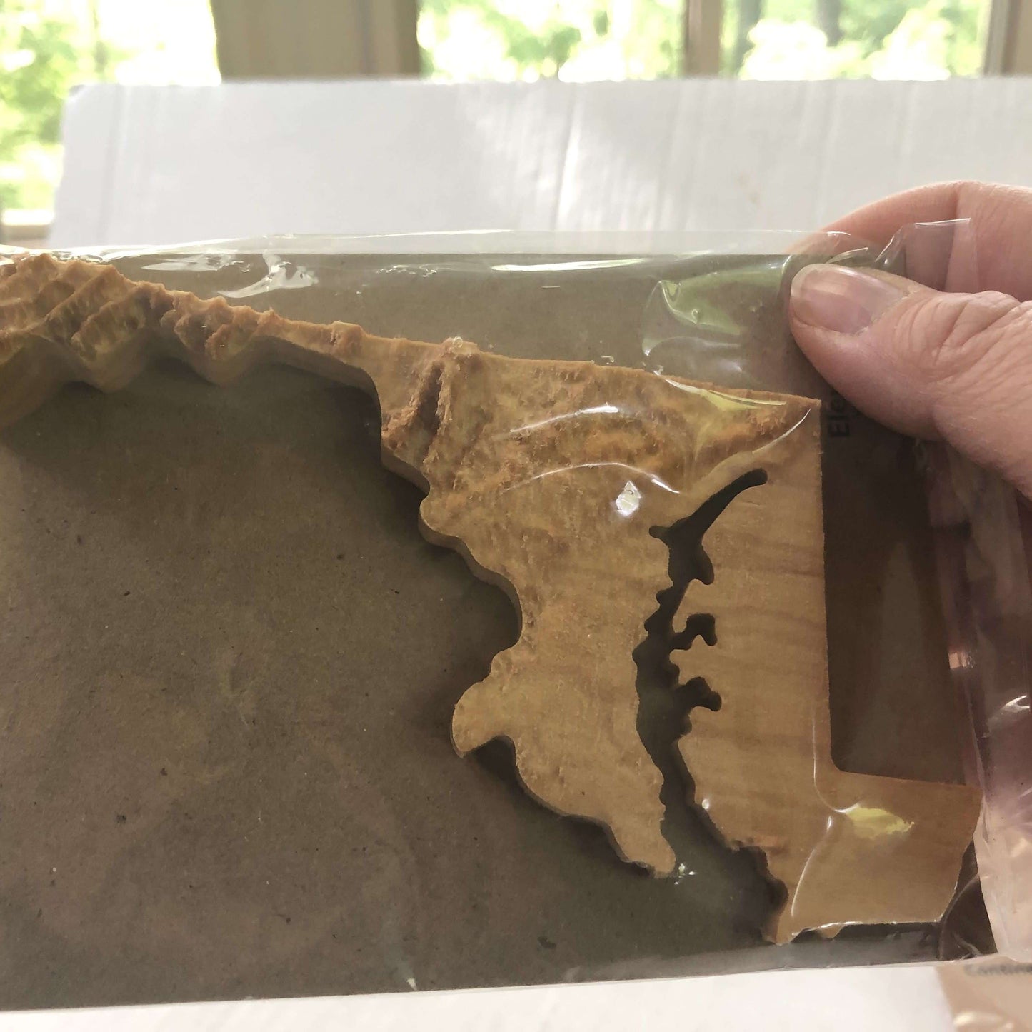 Topographic Magnetic Maps