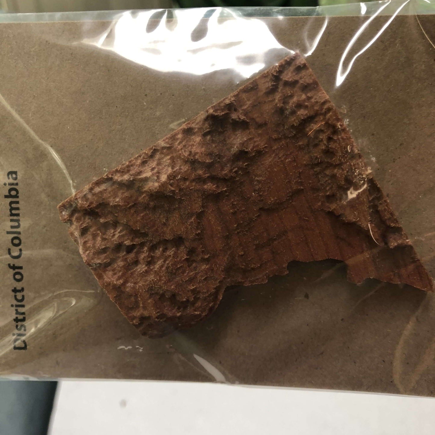 Topographic Magnetic Maps