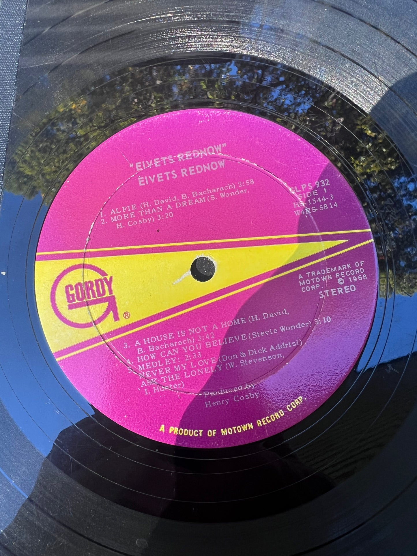 Vintage Record Lined Journals