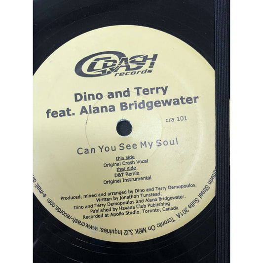 Vintage Record Lined Journals - Rock & Roll and POP