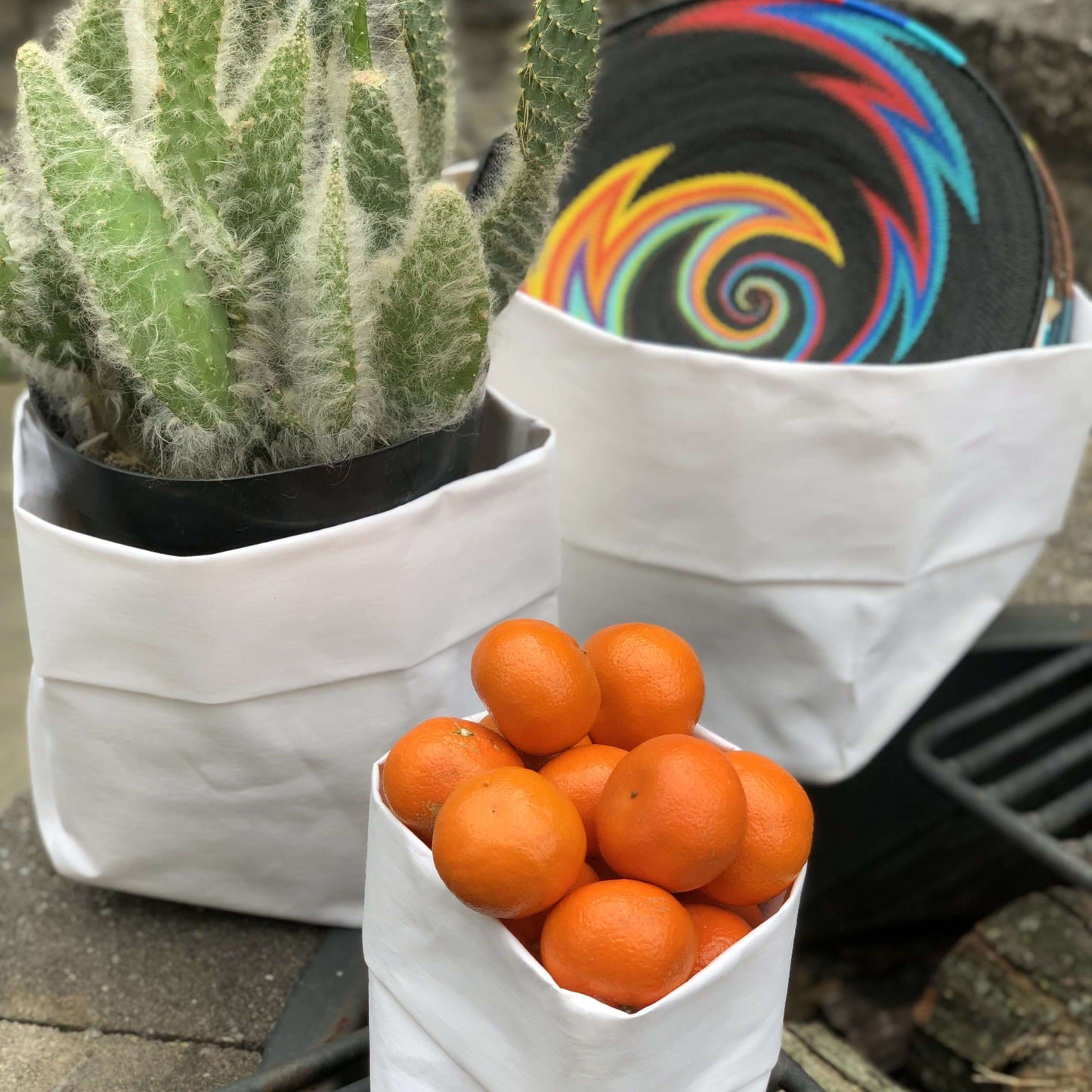 Customizable Washable Paper Sacs for Cactus and Succulents - Great Organizers!